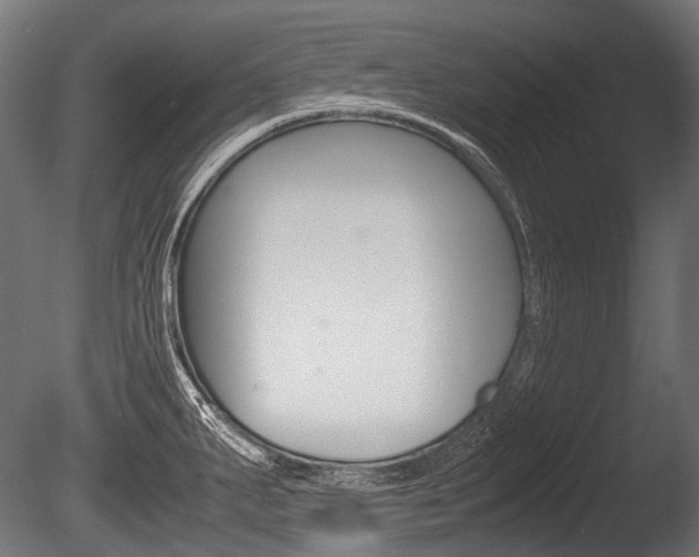 X0000086081287200703231040