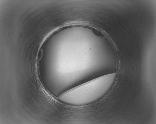 X0000086081288200703231040