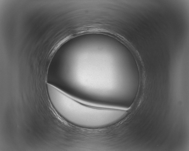 X0000086081289200703231040