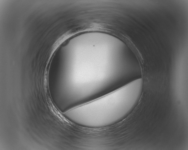 X0000086081292200703231040