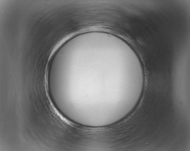 X0000086081294200703231040