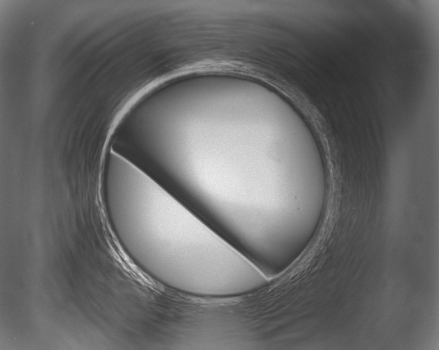 X0000086081296200703231040