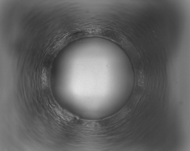 X0000086081298200703231039