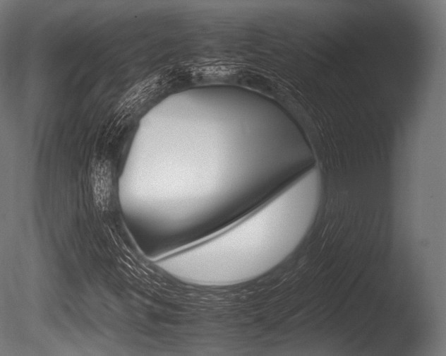 X0000086081299200703231039