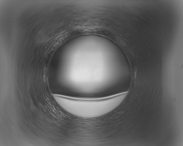 X0000086081300200703231039
