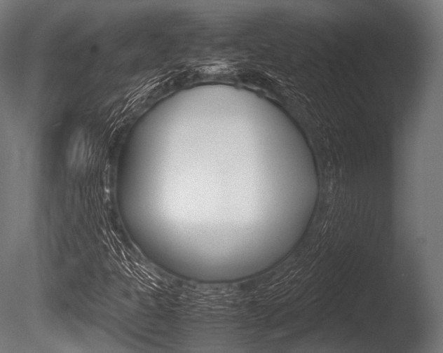 X0000086081301200703231039