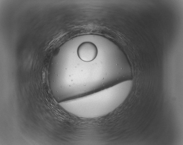 X0000086081302200703231039