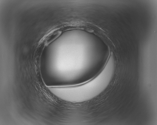 X0000086081304200703231039