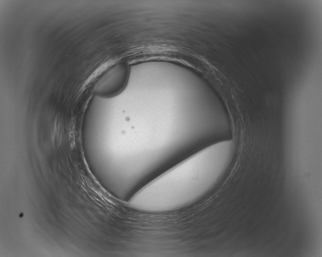 X0000086081306200703231039