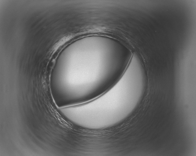 X0000086081308200703231039