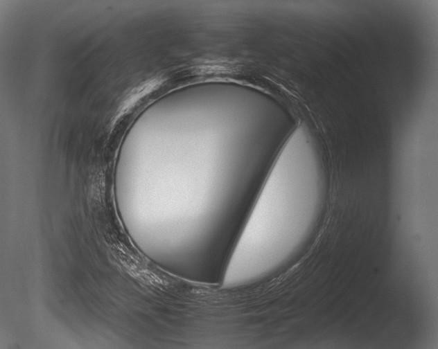 X0000086081309200703231039
