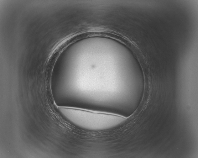 X0000086081311200703231039