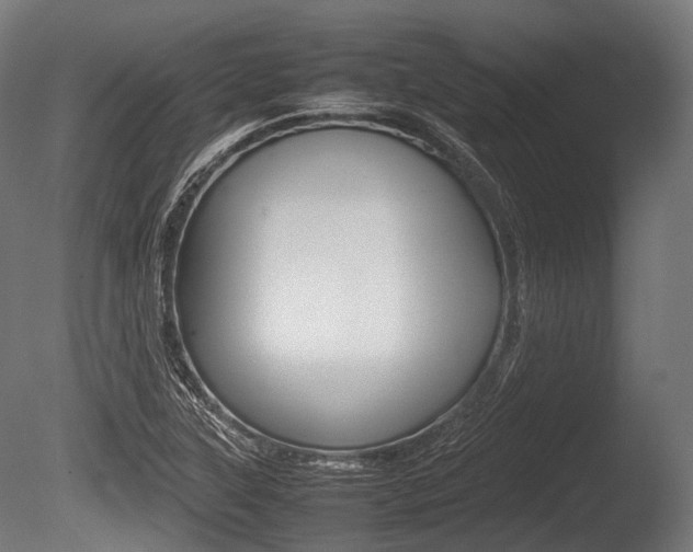 X0000086081315200703231039