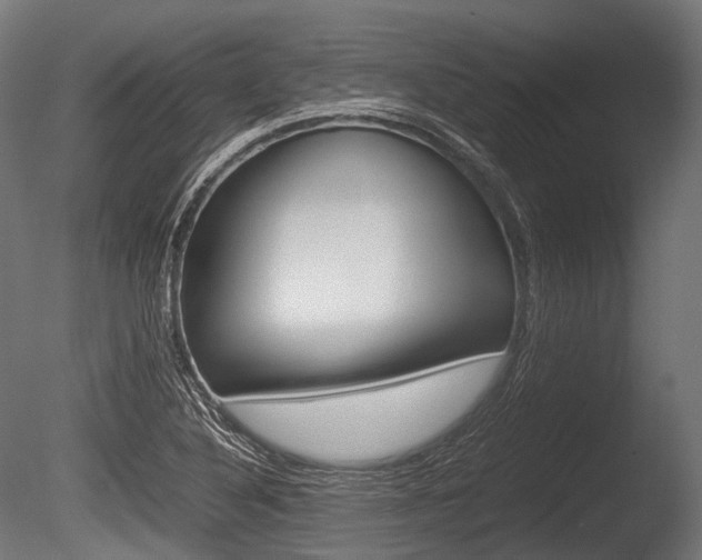 X0000086081316200703231039