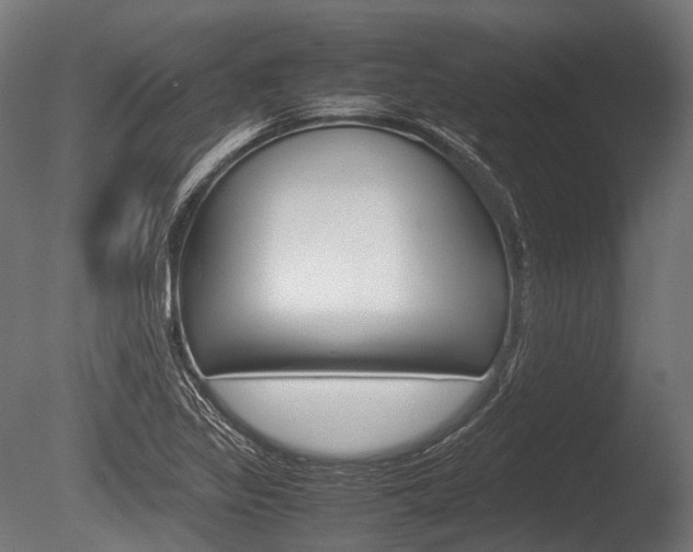X0000086081317200703231039
