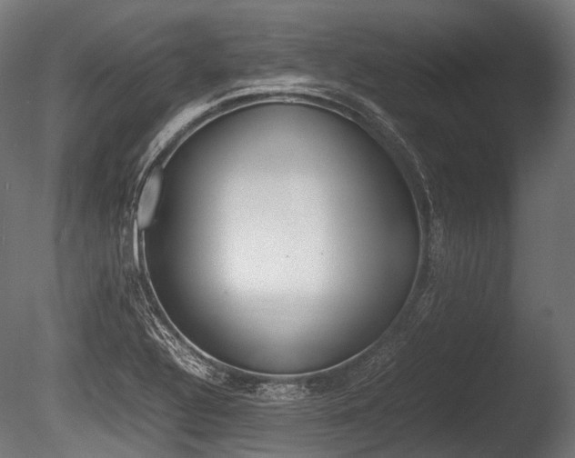 X0000086081320200703231039