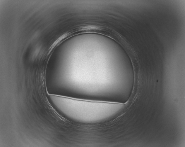 X0000086081321200703231039