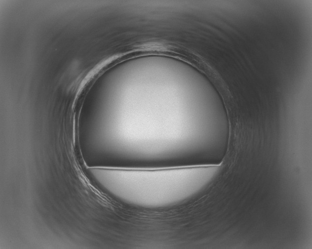 X0000086081323200703231039