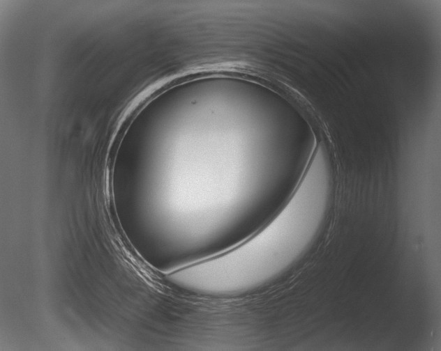 X0000086081324200703231039