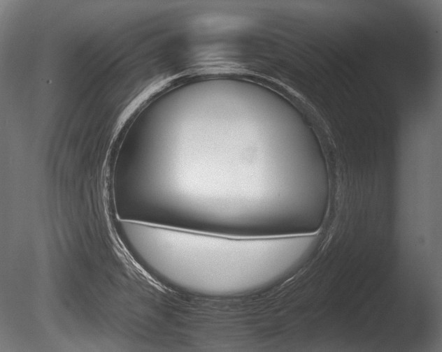 X0000086081325200703231039