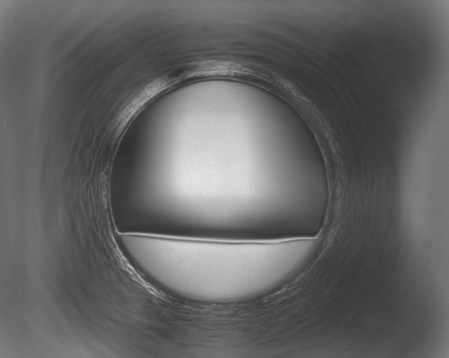 X0000086081329200703231039