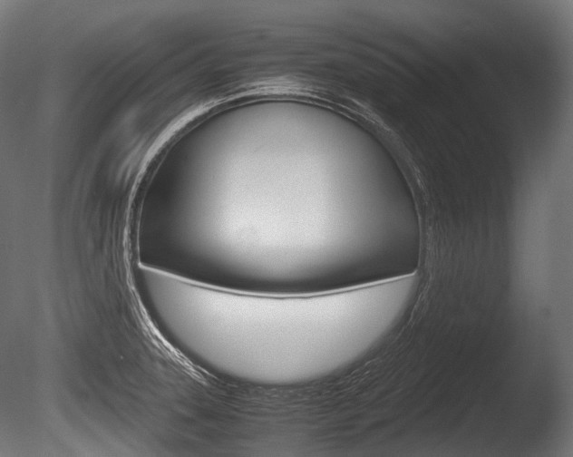 X0000086081331200703231039