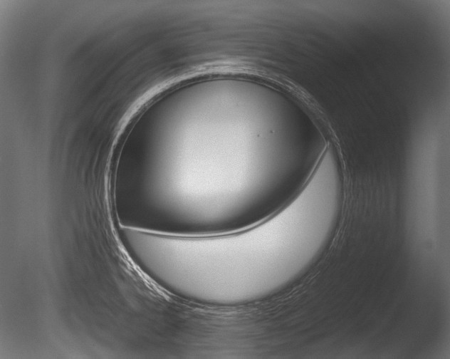 X0000086081334200703231039