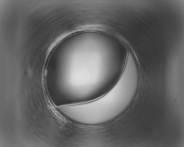 X0000086081336200703231039