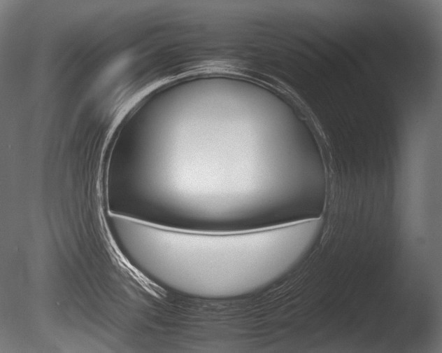 X0000086081339200703231039