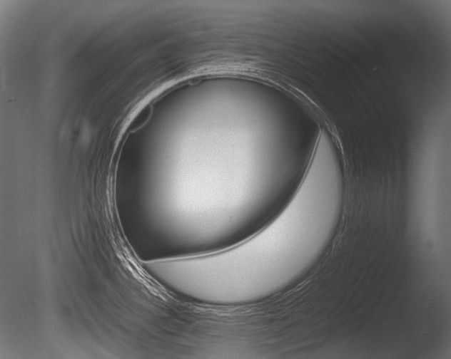 X0000086081340200703231039