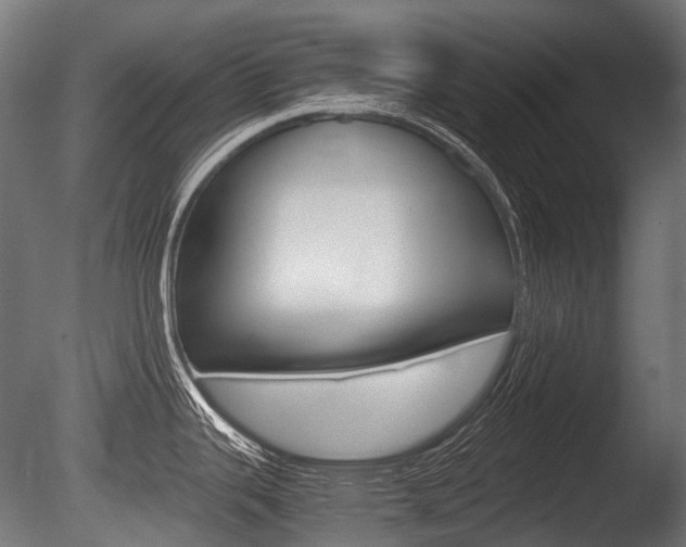 X0000086081343200703231039