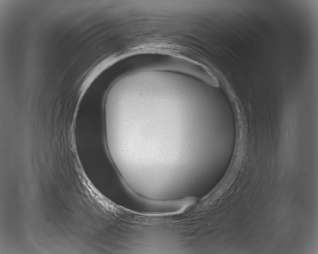 X0000086081344200703231039