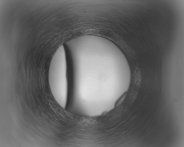 X0000086081346200703231039