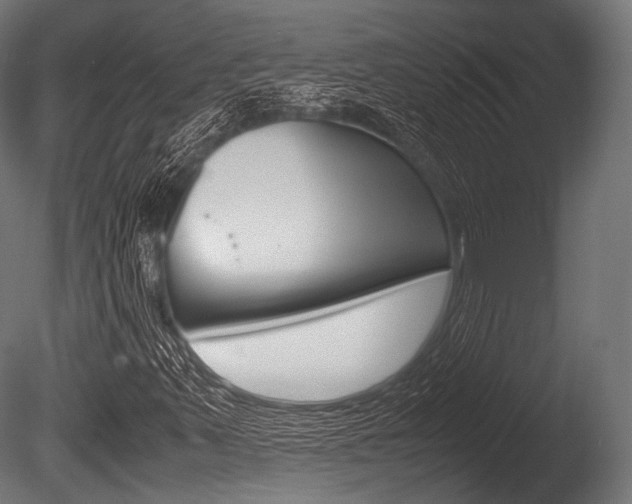 X0000086081347200703231039