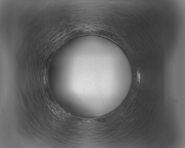 X0000086081348200703231039
