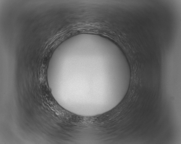 X0000086081350200703231039