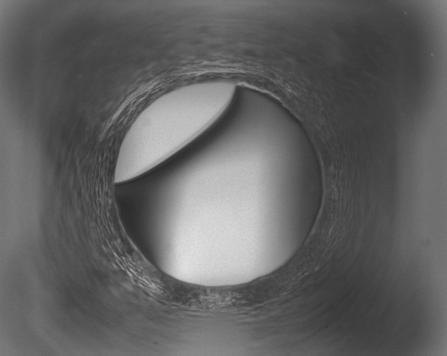 X0000086081351200703231039