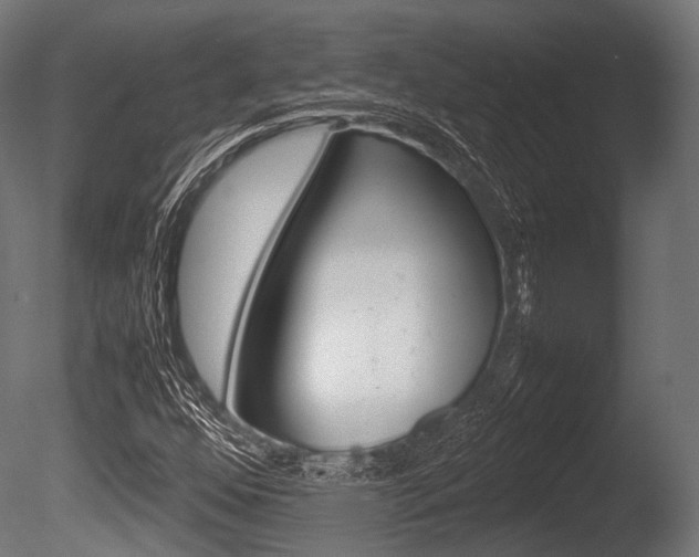 X0000086081352200703231039