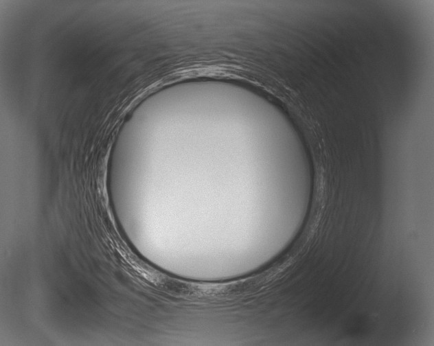 X0000086081353200703231039