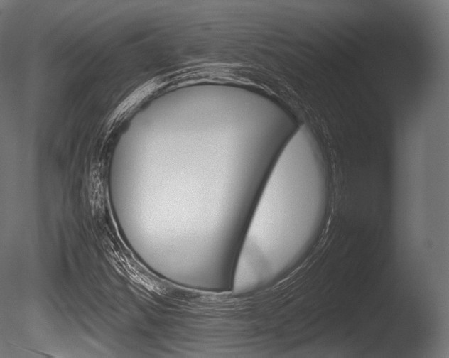X0000086081354200703231039