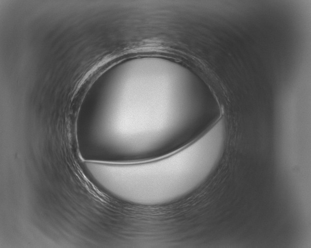 X0000086081356200703231038
