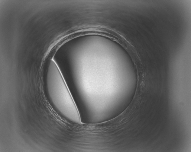 X0000086081360200703231038