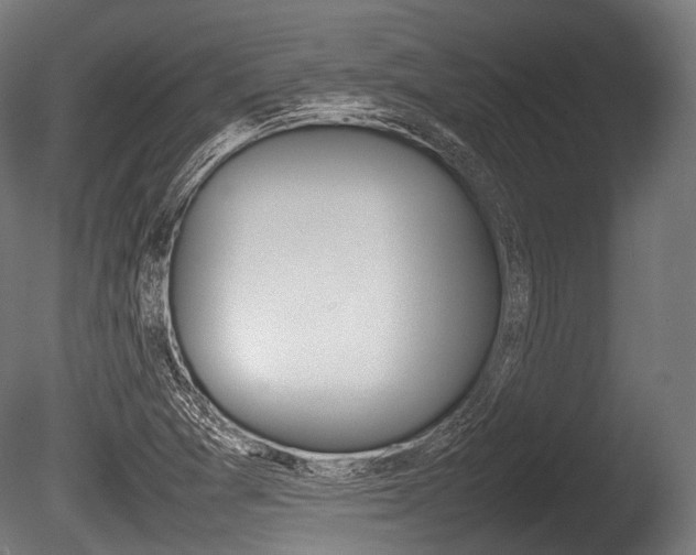 X0000086081361200703231038