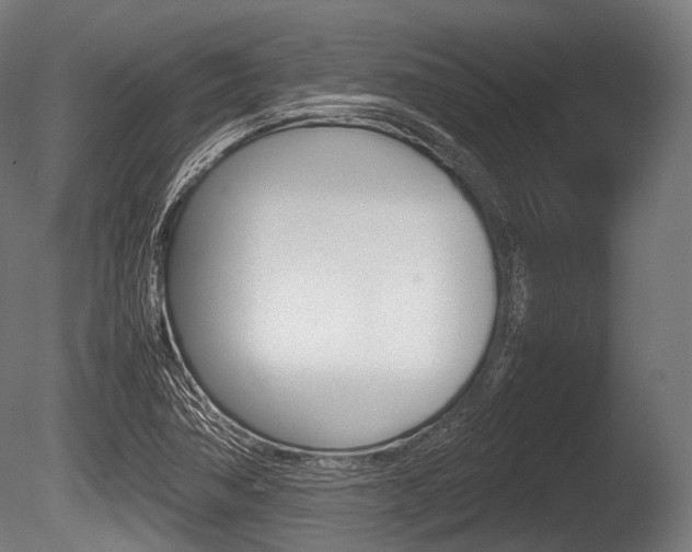 X0000086081362200703231038