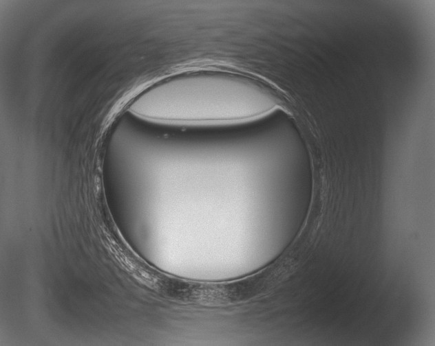 X0000086081363200703231038