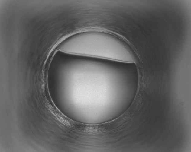 X0000086081364200703231038