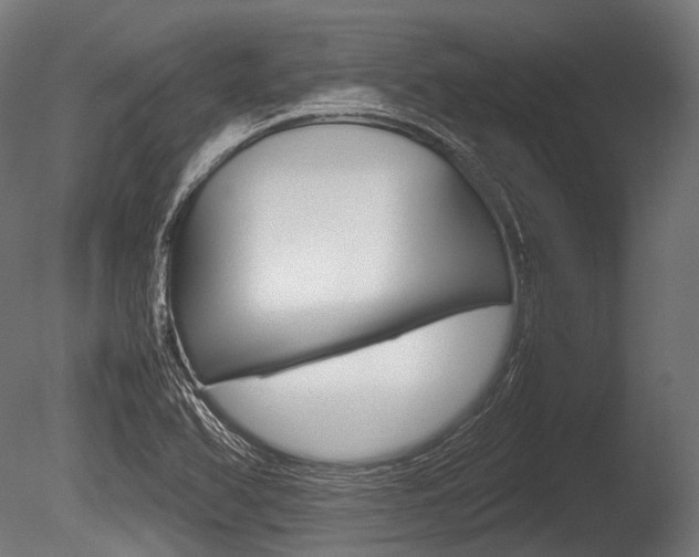 X0000086081366200703231038