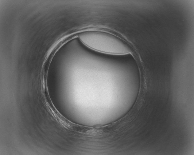 X0000086081368200703231038