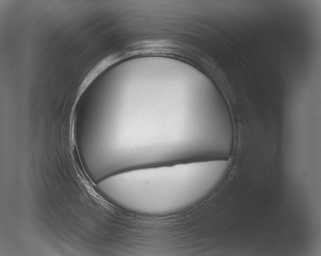 X0000086081370200703231038