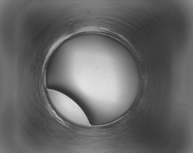 X0000086081371200703231038